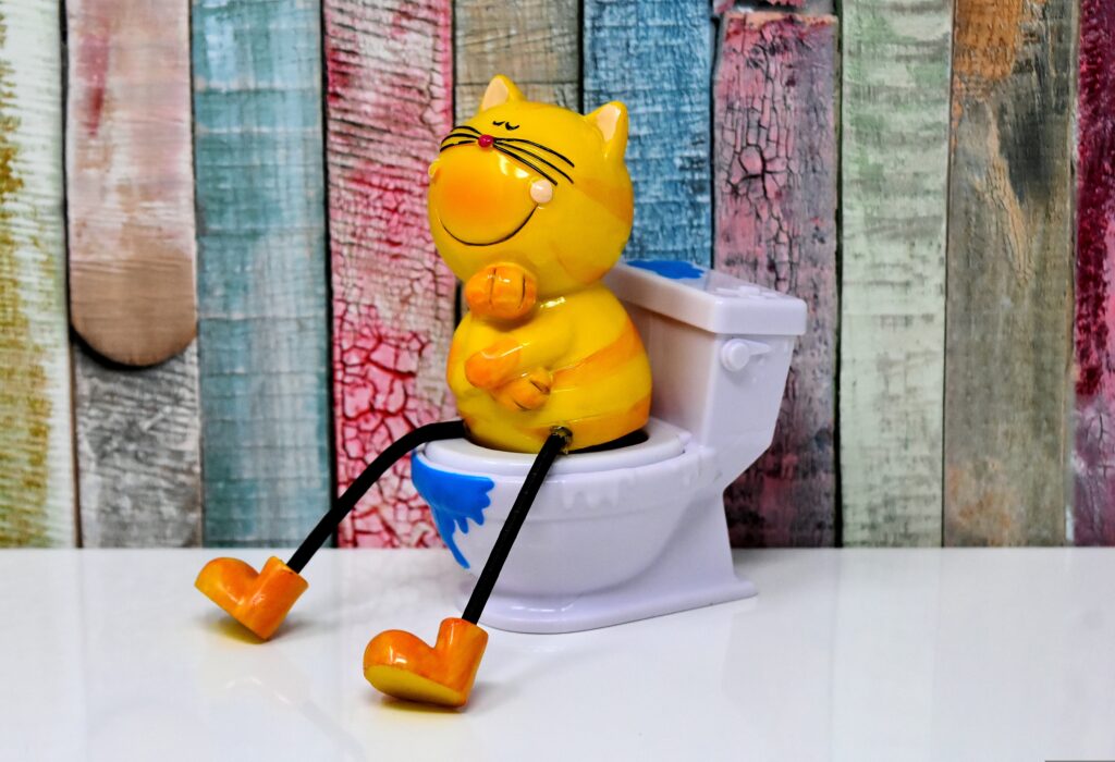 トイレに座る猫